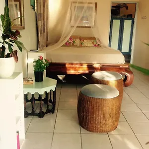 Magical Garden , Savaneta Aruba